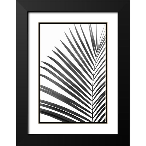 BW Palm Leaf Black Modern Wood Framed Art Print with Double Matting by Pienaar, Kathrin