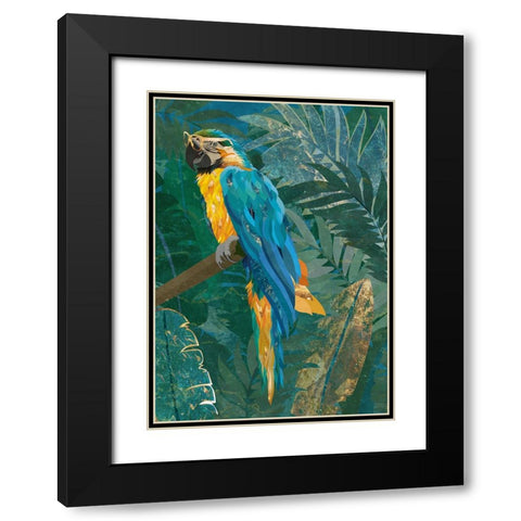 Blue parrot in the rainforest Black Modern Wood Framed Art Print with Double Matting by Manovski, Sarah