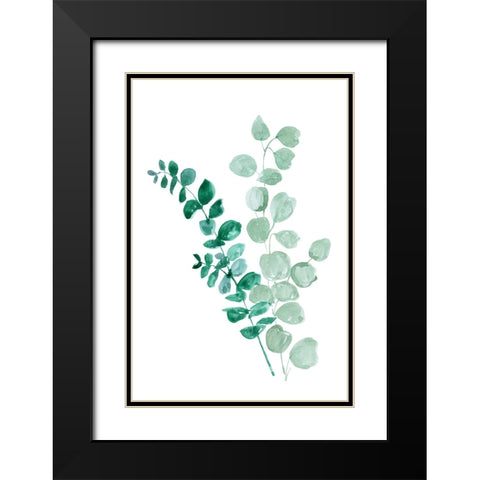 Two eucalyptus branches Black Modern Wood Framed Art Print with Double Matting by Laiz Blursbyai, Rosana