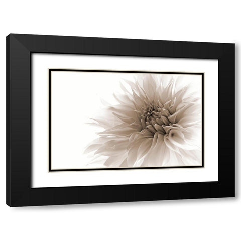 Dignified Black Modern Wood Framed Art Print with Double Matting by Wettstein, Priska