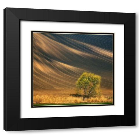 Tree... Black Modern Wood Framed Art Print with Double Matting by Browko, Krzysztof