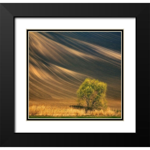 Tree... Black Modern Wood Framed Art Print with Double Matting by Browko, Krzysztof