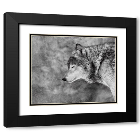 Let It Snow Black Modern Wood Framed Art Print with Double Matting by Ivanova, Victoria
