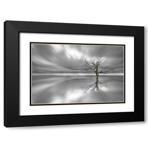 Ghost Tree Black Modern Wood Framed Art Print with Double Matting by Londal, Leif