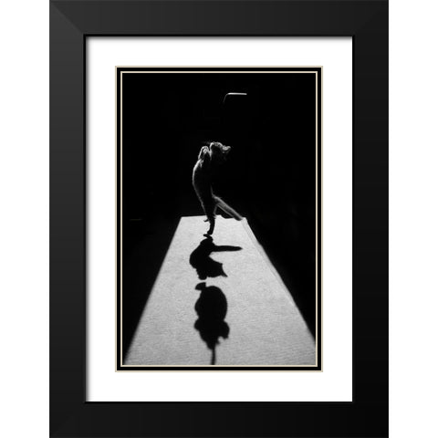 Edgar The Great Ii. Black Modern Wood Framed Art Print with Double Matting by Kravanja, Jure