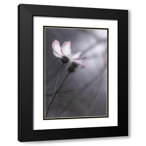 Cosmos Black Modern Wood Framed Art Print with Double Matting by HIDEBON