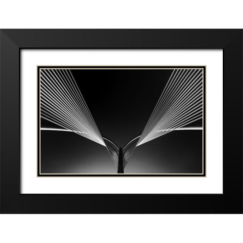 Wings Black Modern Wood Framed Art Print with Double Matting by Effendy, Nasrul