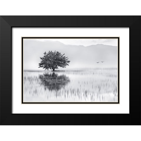 Spring Mirror Black Modern Wood Framed Art Print with Double Matting by Kaimaki, Maria