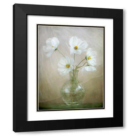 Cosmos Breeze Black Modern Wood Framed Art Print with Double Matting by Disher, Mandy