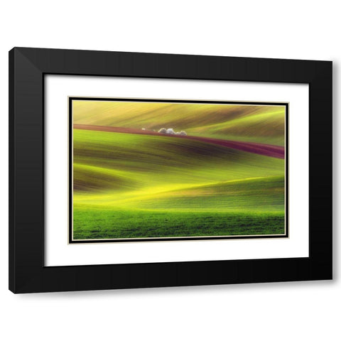 Golden Fields Black Modern Wood Framed Art Print with Double Matting by Krol, Piotr