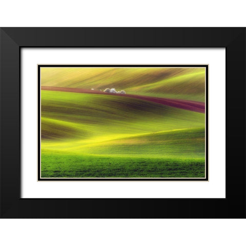 Golden Fields Black Modern Wood Framed Art Print with Double Matting by Krol, Piotr
