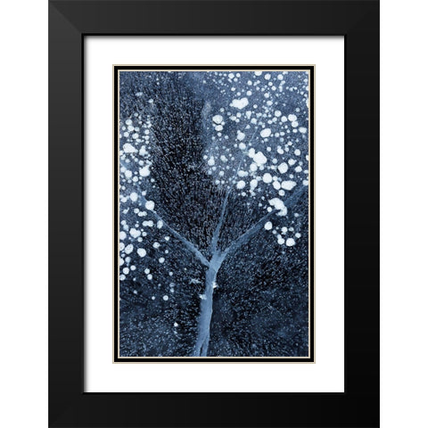 Winter Blossom Black Modern Wood Framed Art Print with Double Matting by Xu, Mei