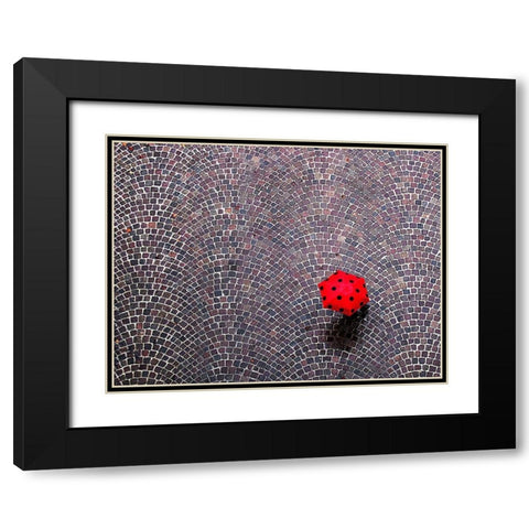 Urban Ladybug Black Modern Wood Framed Art Print with Double Matting by Maffei, Franco