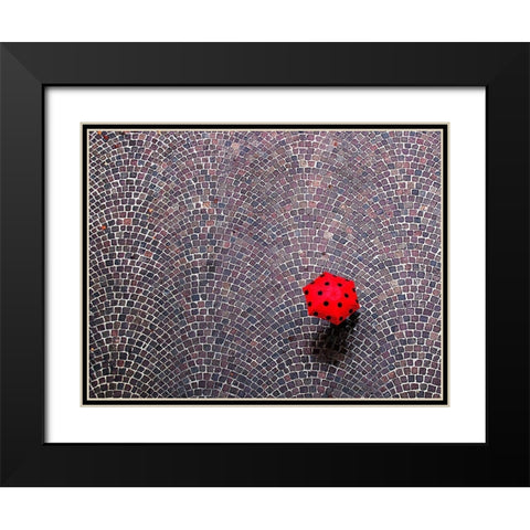 Urban Ladybug Black Modern Wood Framed Art Print with Double Matting by Maffei, Franco