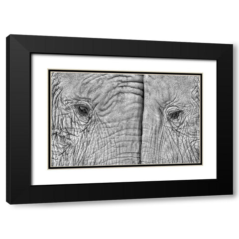 Two Elephants Black Modern Wood Framed Art Print with Double Matting by Luis Duran, Juan