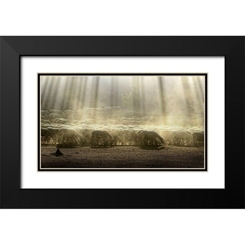 Herd Sheep In The Forest Black Modern Wood Framed Art Print with Double Matting by Georgiev, Deyan