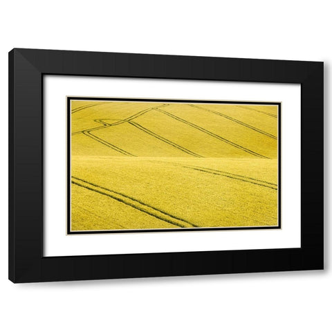 Field #2 Black Modern Wood Framed Art Print with Double Matting by Collie, Clive