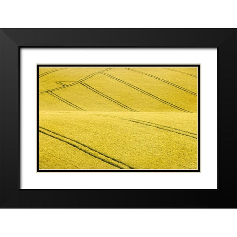 Field #2 Black Modern Wood Framed Art Print with Double Matting by Collie, Clive
