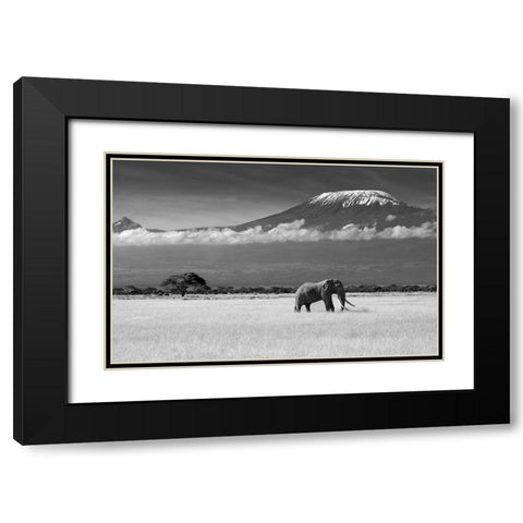 Lost Colors Ii Black Modern Wood Framed Art Print with Double Matting by Canakci, Ibrahim