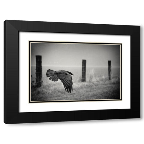The Day Of The Raven Black Modern Wood Framed Art Print with Double Matting by Droste, Holger