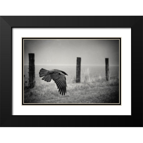 The Day Of The Raven Black Modern Wood Framed Art Print with Double Matting by Droste, Holger
