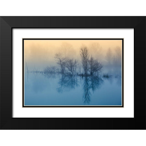 Morning Reflection Black Modern Wood Framed Art Print with Double Matting by Butali, David
