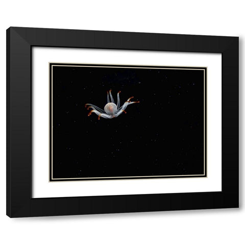 Alien Black Modern Wood Framed Art Print with Double Matting by Barchana, Dani