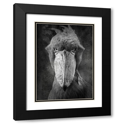 Angry Bird Black Modern Wood Framed Art Print with Double Matting by Lehto, Timo