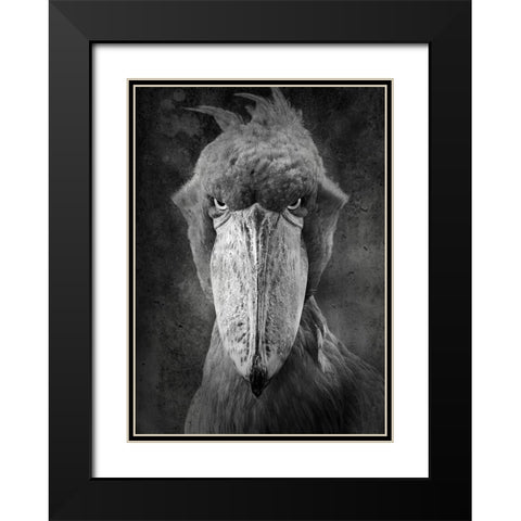 Angry Bird Black Modern Wood Framed Art Print with Double Matting by Lehto, Timo