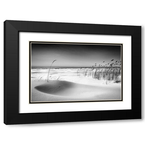 Orchestra Black Modern Wood Framed Art Print with Double Matting by Cirulis, Reinis