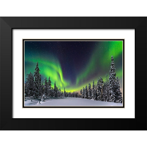 Aurora Black Modern Wood Framed Art Print with Double Matting by Roemmelt, Dr. Nicholas
