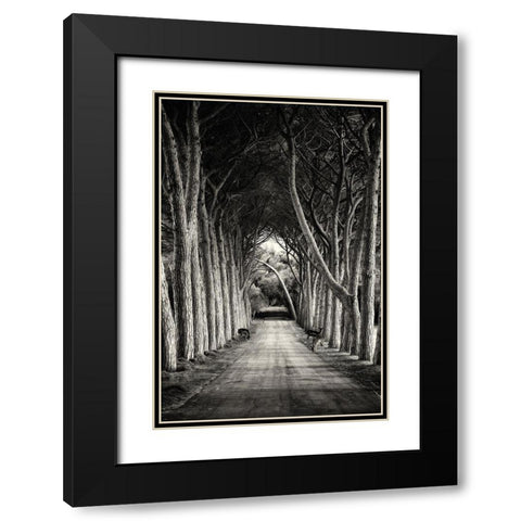 Untitled Black Modern Wood Framed Art Print with Double Matting by Stimac, Sandra