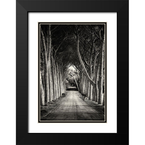 Untitled Black Modern Wood Framed Art Print with Double Matting by Stimac, Sandra