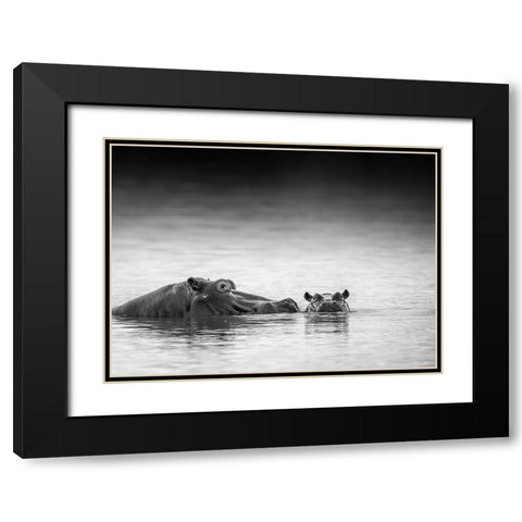 Eye Level Black Modern Wood Framed Art Print with Double Matting by Marx, Jaco