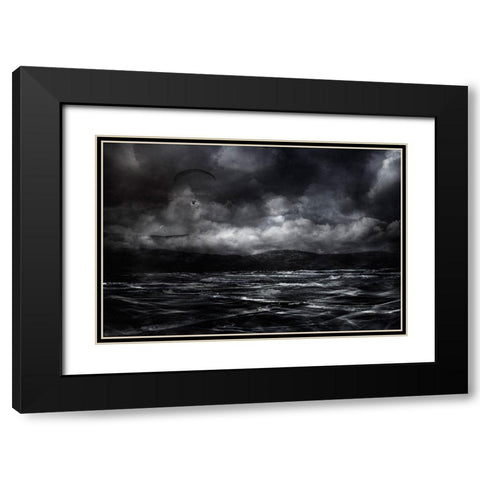 Free As A Bird Black Modern Wood Framed Art Print with Double Matting by Marthinussen, Willy