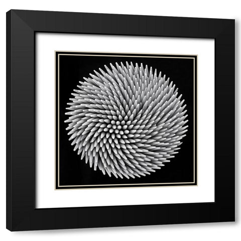 Hypnosis Black Modern Wood Framed Art Print with Double Matting by Toniolo, Giorgio
