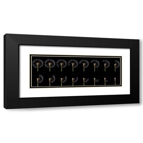 Countdown Black Modern Wood Framed Art Print with Double Matting by Lionse, Art