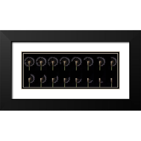 Countdown Black Modern Wood Framed Art Print with Double Matting by Lionse, Art