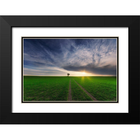 Loner In The Sun Black Modern Wood Framed Art Print with Double Matting by Krol, Piotr