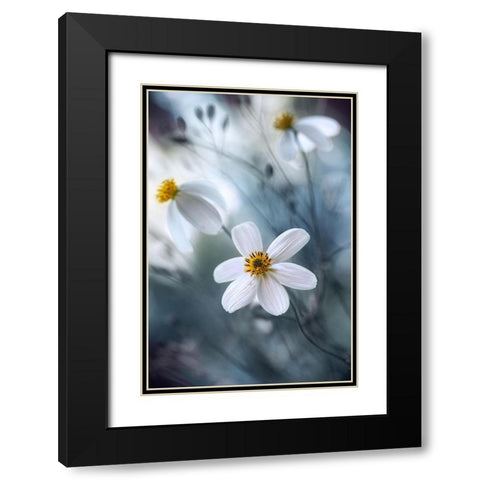 Cosmos Black Modern Wood Framed Art Print with Double Matting by Disher, Mandy