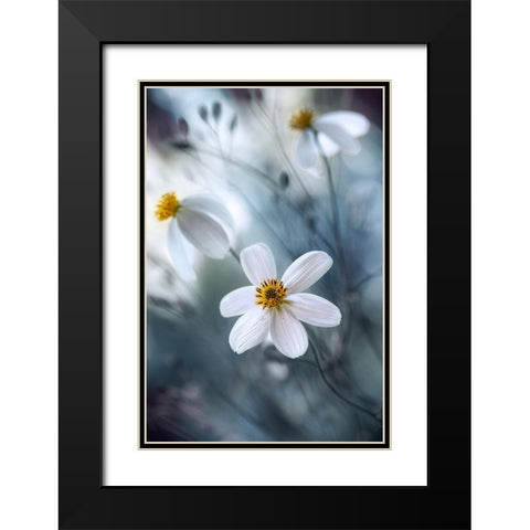 Cosmos Black Modern Wood Framed Art Print with Double Matting by Disher, Mandy
