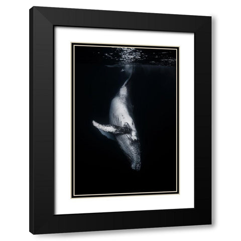 Black Whale Black Modern Wood Framed Art Print with Double Matting by Gabriel, Barathieu