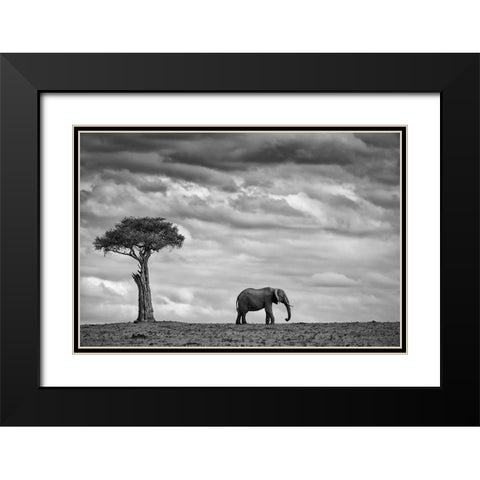 Elephant Landscape Black Modern Wood Framed Art Print with Double Matting by Moreno, Mario