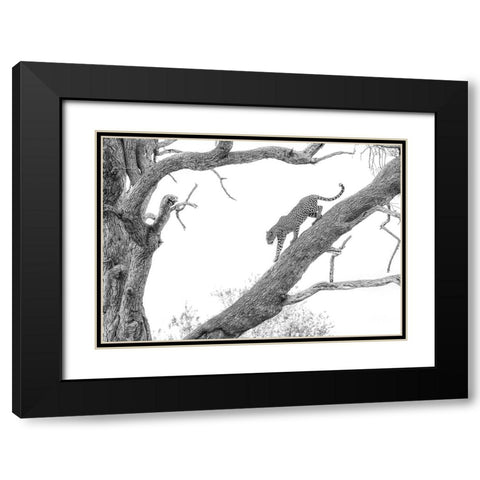 High Key Leopard Black Modern Wood Framed Art Print with Double Matting by Marx, Jaco