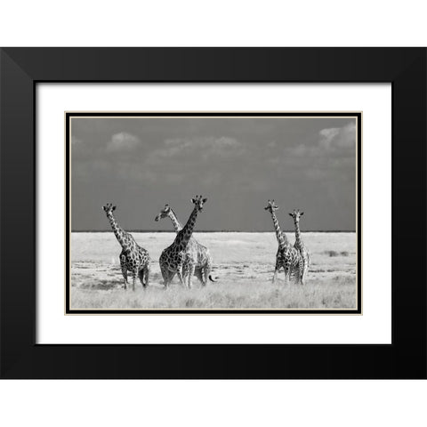 Look Girl Strange Animals Black Modern Wood Framed Art Print with Double Matting by Guillemot, Mathilde