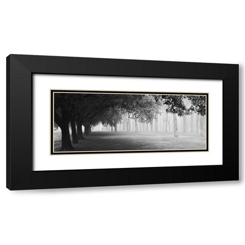 Morning Fog Black Modern Wood Framed Art Print with Double Matting by Chiarello, Matteo