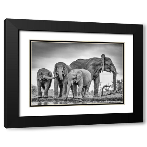 A Giant Unity Black Modern Wood Framed Art Print with Double Matting by Marx, Jaco