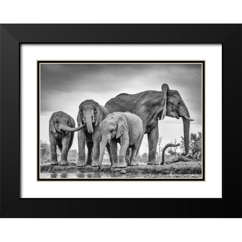 A Giant Unity Black Modern Wood Framed Art Print with Double Matting by Marx, Jaco