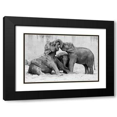Ma?Nage A? Trois Black Modern Wood Framed Art Print with Double Matting by Wenner-Braun, Antje