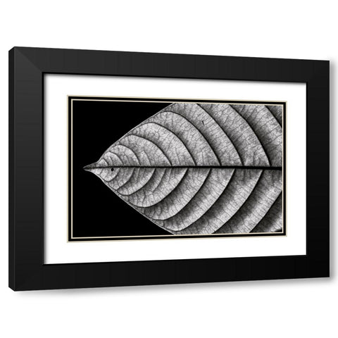 Dry Fish Black Modern Wood Framed Art Print with Double Matting by J. Bhange, Nilesh